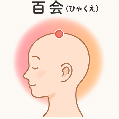 百会(ひゃくえ)の位置|頭のてっぺん